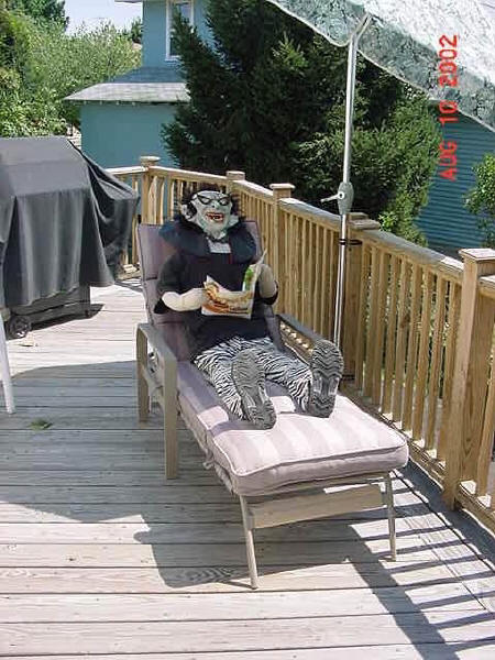 Deck sleeping_600.jpg