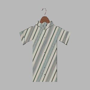 shirt and hanger.jpg