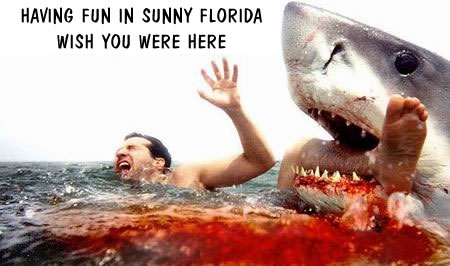 266-floridapostcard.jpg