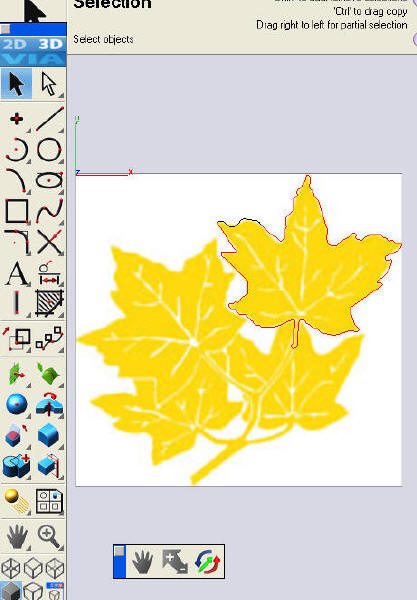 Leaves_1.jpg