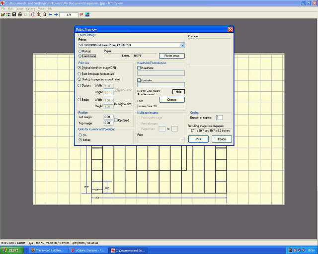 Printing options in Image Control.