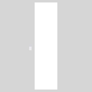mirror 24x72.jpg